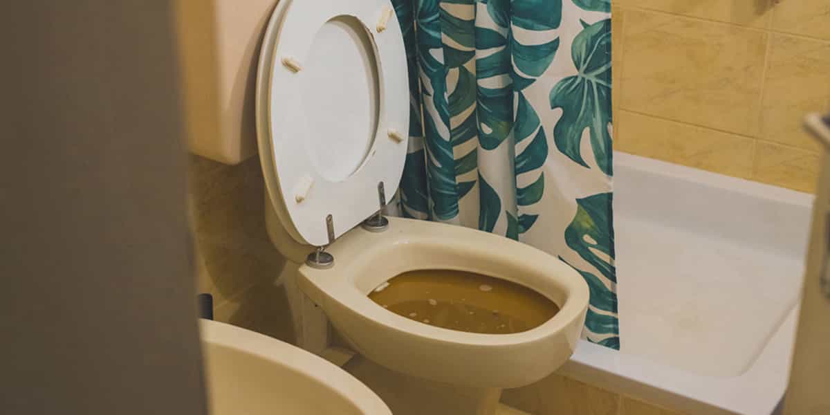 L’eau de ma cuvette remonte ou disparaît - Tahannaout ?
