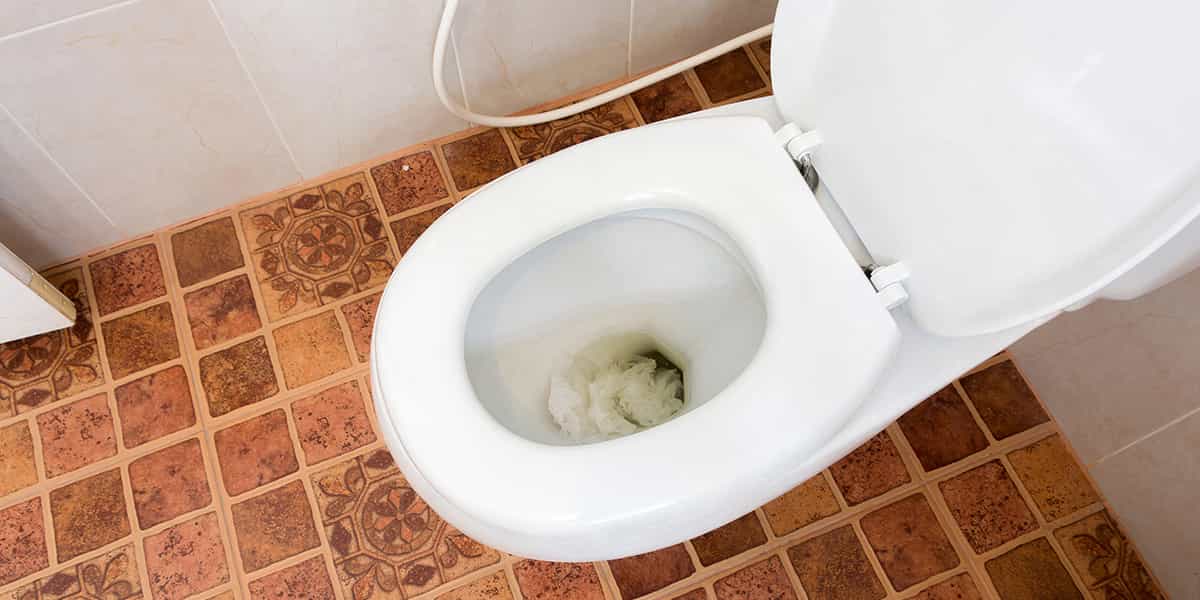 Les causes d’un Sanibroyeur bouché Stehat